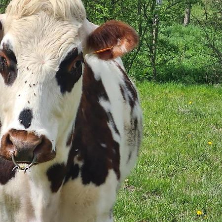 La Lande-de-Louge Roulotte A La Ferme Buissonniereヴィラ エクステリア 写真