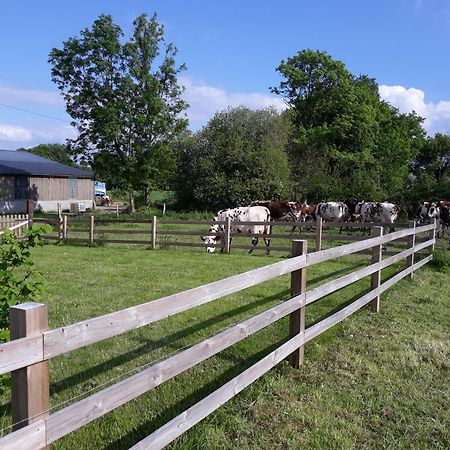 La Lande-de-Louge Roulotte A La Ferme Buissonniereヴィラ エクステリア 写真