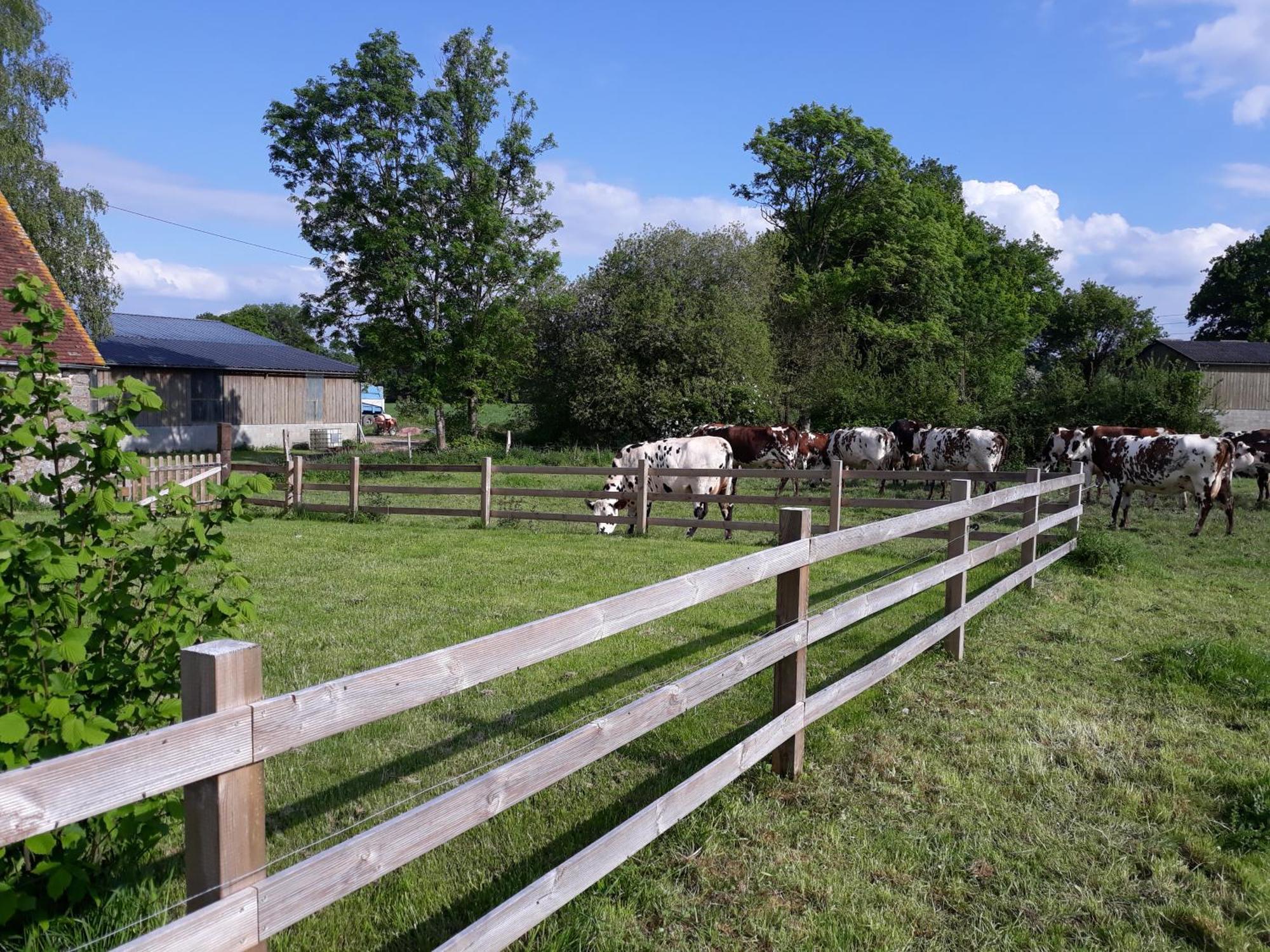 La Lande-de-Louge Roulotte A La Ferme Buissonniereヴィラ エクステリア 写真